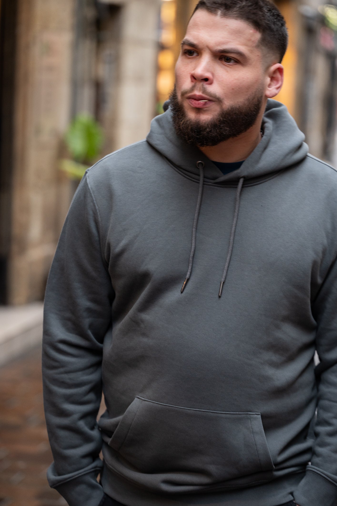 Sweat shirt Wild Duck Gris Anthracite