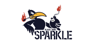 Sparkle, le Black Bird en mémoire. du noise art.