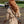 Beige Capu Mattu Military Combi