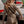 Beige Capu Mattu Military Combi