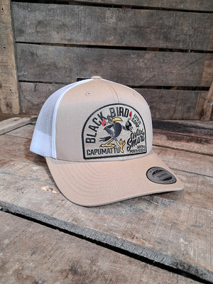 Sparkle Trucker Snap Back Hat