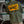 Veste militaire Black Bird Squadron Papy Boyington's Bastard