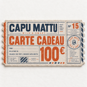 Cartes Cadeaux 100