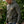 Crazy Dogs Terry Sweatshirt