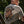 T-shirt 240 Ironpaw Stone