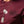 T-shirt Garage Ironpaw Dark Cherries T180