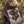 Sweat Hoodies Oversize Ironpaw Moccha