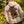 Sweatshirt Hoodies Ironpaw Ivory quilted patch