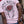Romance T-shirt Pink or White