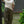 Black Bird Squadron T-shirt Cream Khaki Patchwork