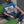 T-shirt Black Duck Oil Azure Blue