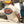 T-Shirt Blackbird Racing — Ivoire