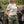 T-shirt Atomic Girl – Pin-Up WWII – Capu Mattu Original Brand