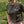 T-shirt Commando Kieffer – Made to Fight – Hommage D-Day | Capu Mattu
