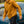 hoody capu mattu vintage coton bio