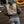 Sweat-shirt Captain Black Bird Patchwork matelassé