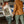 Sweat-shirt Captain Black Bird Patchwork matelassé beige