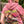 Sweat Hoodie Manches Courtes Atomic Girl – Femme Rose | Capu Mattu Original Brand