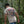 T-shirt WASP – Ivoire – Stitch & Print