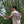 T-shirt WASP – Ivoire – Stitch & Print