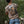 T-shirt Bombay 122 Drift