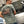T-Shirt Legacy Race Réédition Limitée — Vert Jade — Capu Mattu