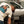 T-Shirt Speed Authority Homme Feutrine Gulf — Ivoire — Capu Mattu