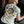 t-shirt capu mattu unisexe
