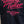 Varsity Jacket Young Timer — Laine & Cuir — Licence Le Mans 24H — Capu Mattu