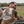 Black Bird 101st Airborne Sleeveless Jacket – Bodywarmer Capu Mattu Clothing